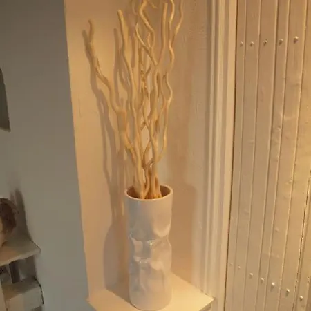 De Charme Proche Colmar Avec Terrasse Apartament