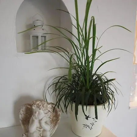 De Charme Proche Colmar Avec Terrasse Apartament Sainte-Croix-en-Plaine