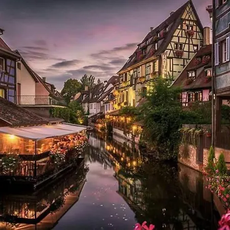 Apartament De Charme Proche Colmar Avec Terrasse *