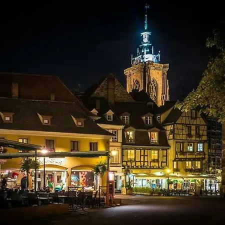 De Charme Proche Colmar Avec Terrasse *