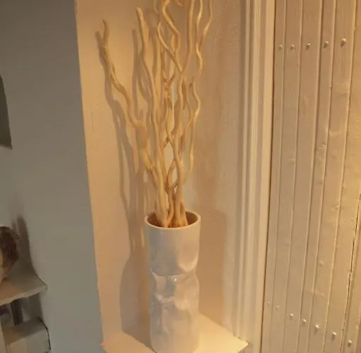 De Charme Proche Colmar Avec Terrasse Appartement