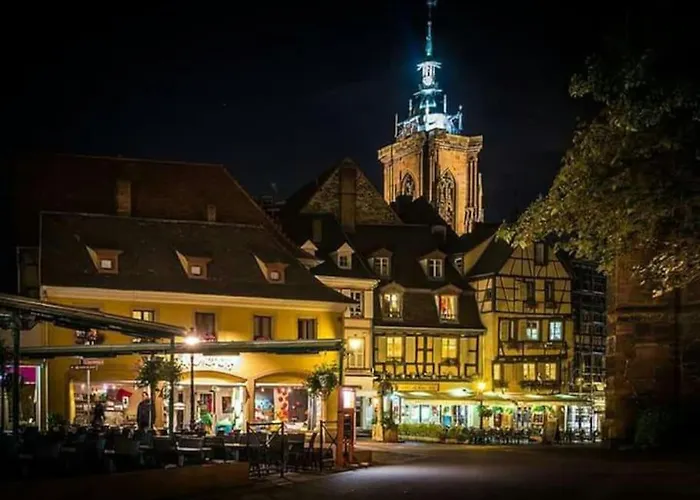 De Charme Proche Colmar Avec Terrasse *